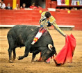 Acho: Torería Sin Trofeos